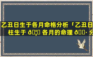 乙丑日生于各月命格分析「乙丑日柱生于 🦆 各月的命理 🕷 分析」